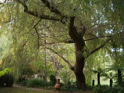 Hilltop - Dentist Find 14