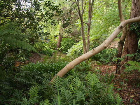 Hilltop - Dentist Find 17