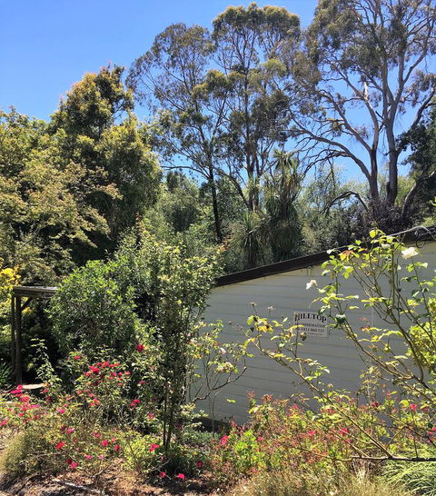 Hilltop - Dentist Find 9