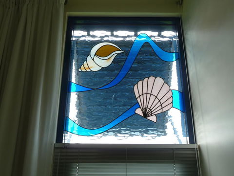SeaShells Penneshaw - Dentist Find 36