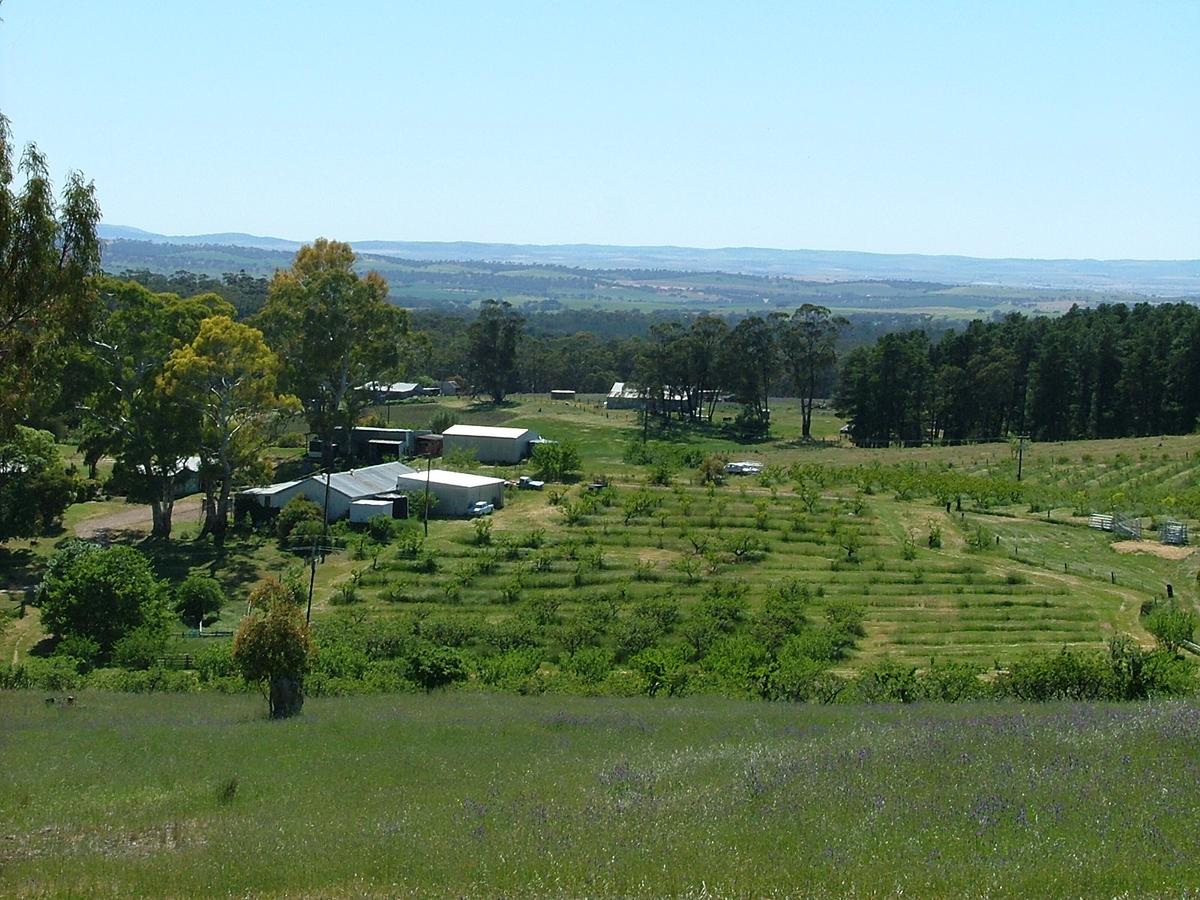 Taralee Orchards