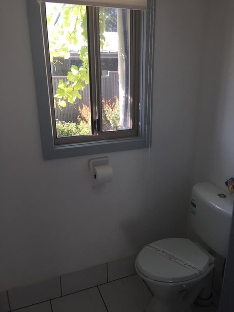 SHAKIN' SHACK - Dentist Find 17