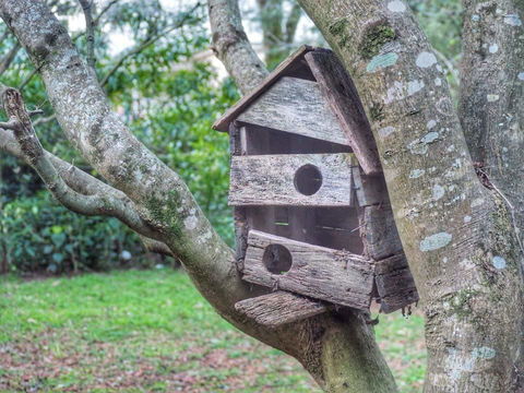 Lark Cottage - Dentist Find 3