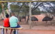 Erldunda Roadhouse - thumb 21