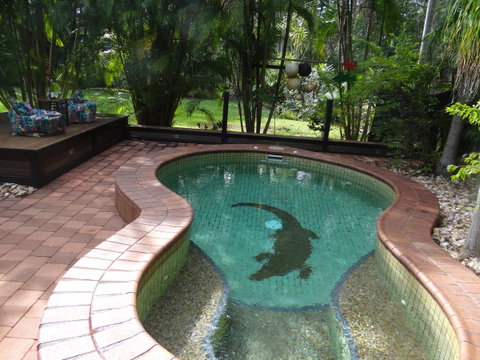 DARWIN'S SHADY ACRES RETREAT - Dentist Find 13