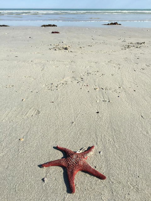 Caledonian Inn - Dentist Search 14