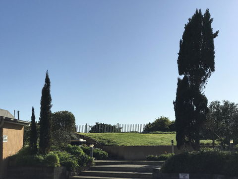 Caledonian Inn - Dentist Search 24