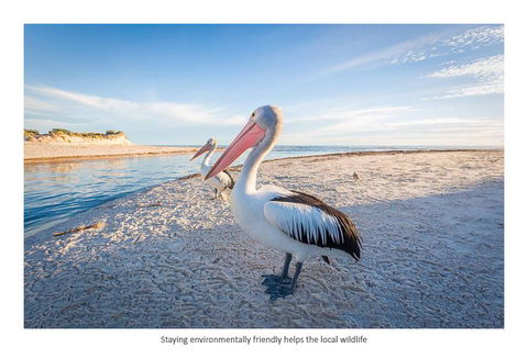 Adelaide Luxury Beach House - Dentist Find 25