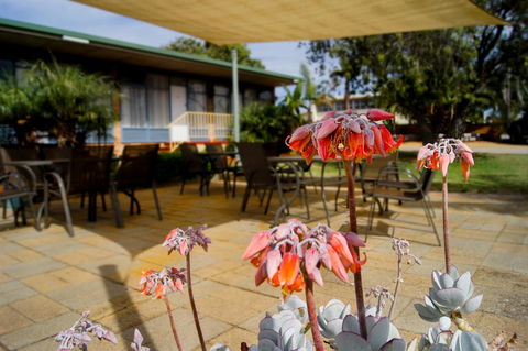 Kangaroo Island Seaview Motel - Dentist Find 3