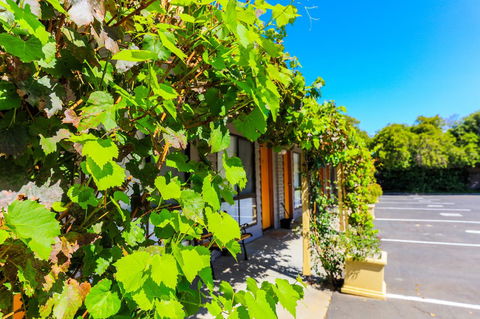 Country Roads Motor Inn Naracoorte - Dentists Australia 18