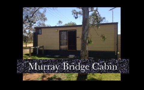 Murray Bridge Riverview Cabin - Dentist Find 7