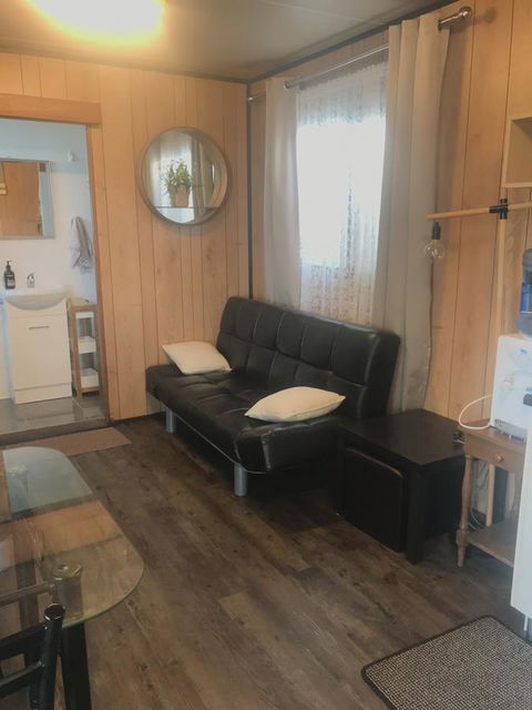 Murray Bridge Riverview Cabin - Dentist Find 6