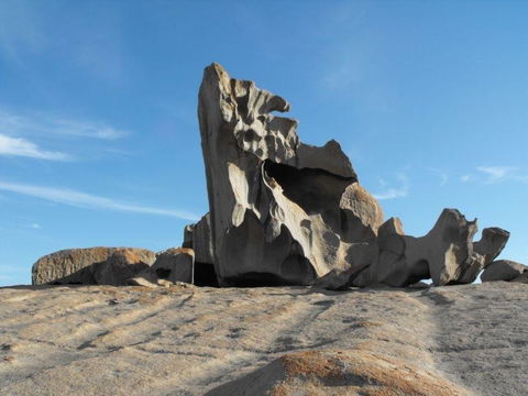 Western KI Caravan Park & Wildlife Reserve - Dentist Find 42