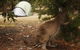 Western KI Caravan Park & Wildlife Reserve - thumb 35