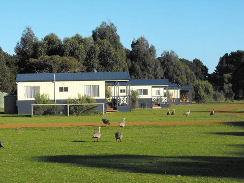 Western KI Caravan Park & Wildlife Reserve - Dentist Find 0