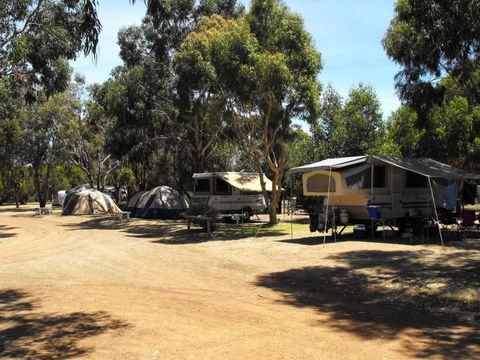 Western KI Caravan Park & Wildlife Reserve - Dentist Find 33