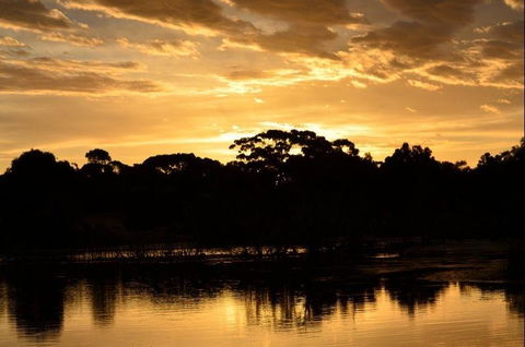 Western KI Caravan Park & Wildlife Reserve - Dentist Find 36