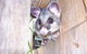 Western KI Caravan Park & Wildlife Reserve - thumb 39