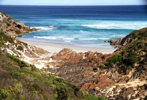 Western KI Caravan Park & Wildlife Reserve - Dentist Find 44