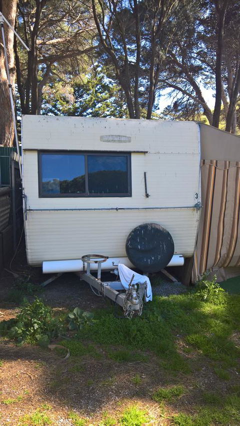 Second Valley Caravan Park - Dentist Find 12