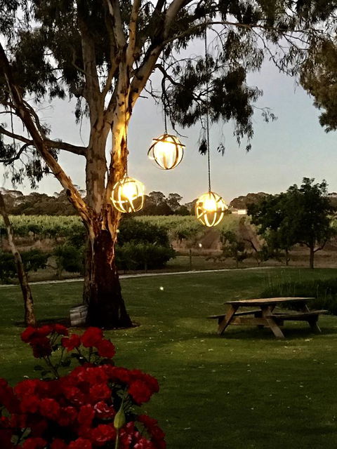 The Reserve Barossa Valley - Dentist Find 19