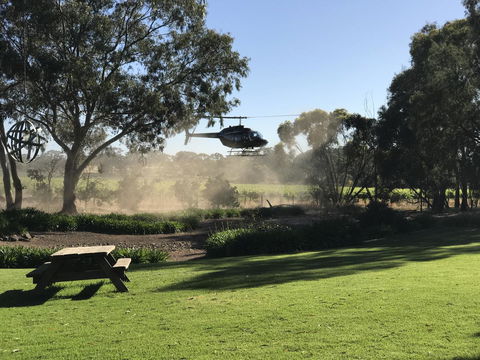 The Reserve Barossa Valley - Dentist Find 3
