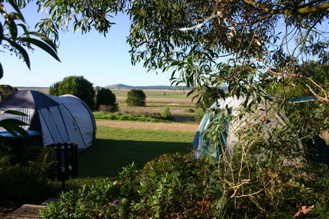 Millicent Hillview Caravan Park - Dentist Search 43