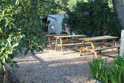 Millicent Hillview Caravan Park - Dentist Search 9