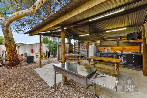 Millicent Hillview Caravan Park - Dentist Search 20