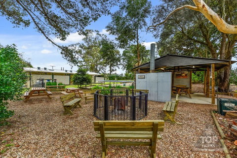 Millicent Hillview Caravan Park - Dentist Search 22