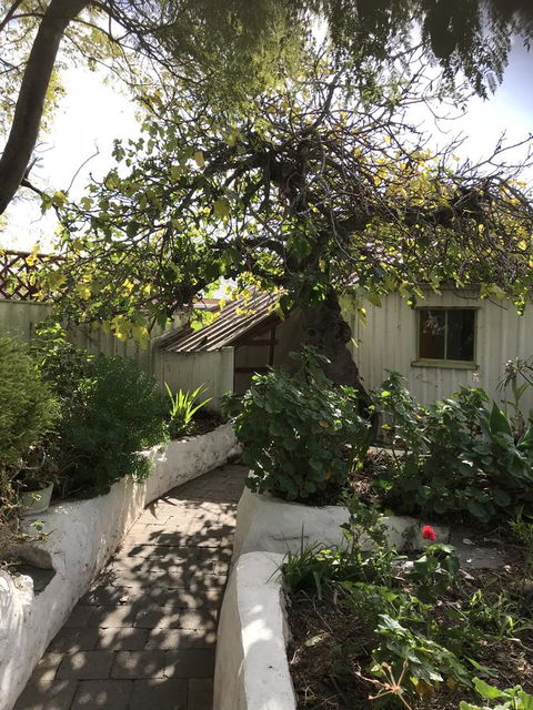 Cosy Nook - Dentist Find 3