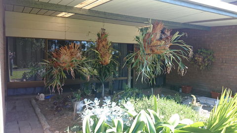 Hilltop Escape - Dentist Search 11