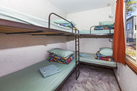 Big4 Naracoorte Holiday Park - Dentist Find 35