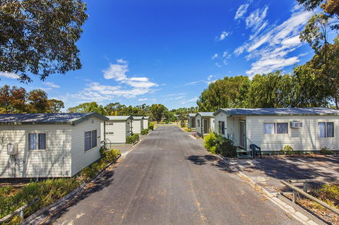Big4 Naracoorte Holiday Park - Dentist Find 7