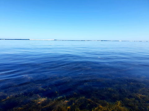 Rocks Retreat House With Sea Views - Dentist Find 8