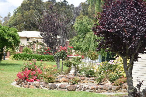 Valley Views Motel & Chalets - Dentist Find 28