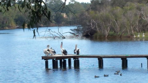Jacaranda Hideaway Bed & Breakfast - Dentist Find 18