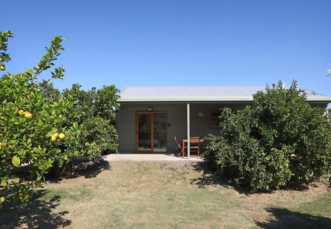 Swan Valley Sisters - Dentist Find 10
