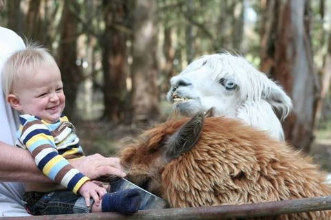 Margaret River Hideaway & Farmstay - Dentists Australia 21