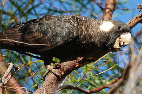 Margaret River Hideaway & Farmstay - Dentists Australia 22