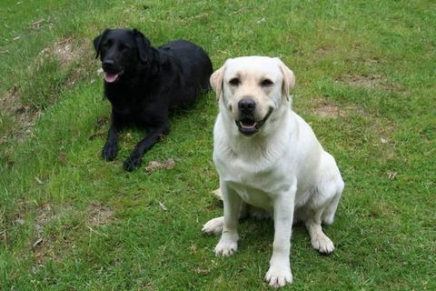 Margaret River Hideaway & Farmstay - Dentists Australia 29