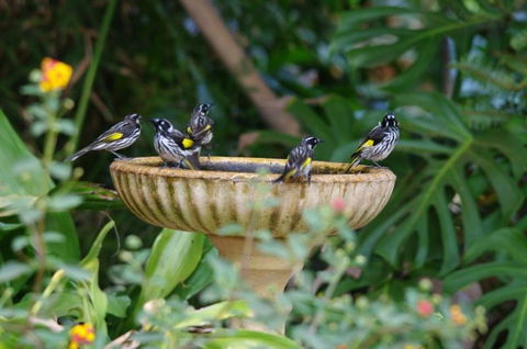 Margaret River Hideaway & Farmstay - Dentists Australia 30