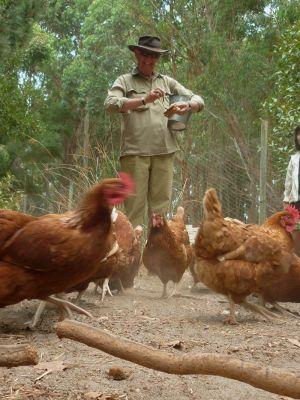 Margaret River Hideaway & Farmstay - Dentists Australia 28