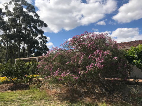 Cockburn Retreat Home æŸæ–¯æ‚ é–’æ°‘å®¿ - Dentist Search 0