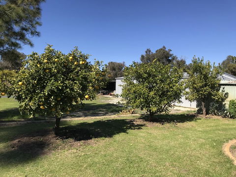 Cockburn Retreat Home æŸæ–¯æ‚ é–’æ°‘å®¿ - Dentist Search 20