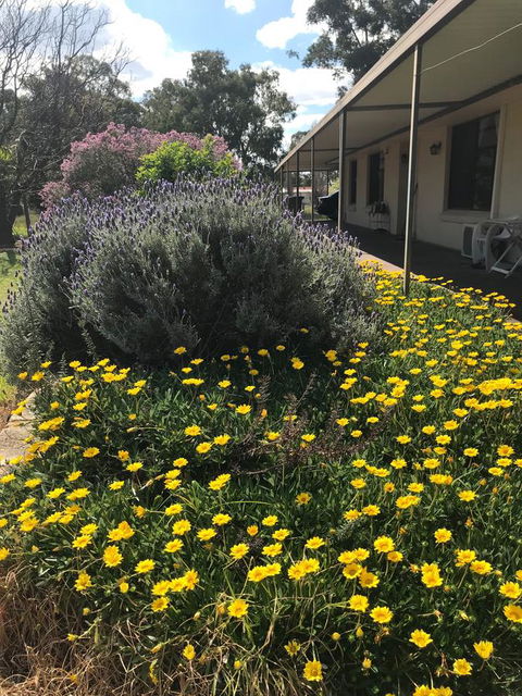 Cockburn Retreat Home æŸæ–¯æ‚ é–’æ°‘å®¿ - Dentist Search 3