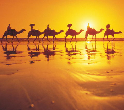 Mantra Frangipani Broome - Dentists Australia 6
