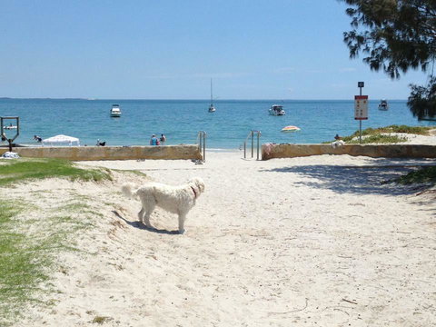 Gypsy Cottage - Dentist Find 1