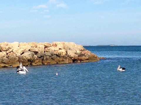 Gypsy Cottage - Dentist Find 13