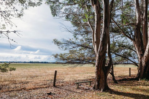 Margaret River Holiday Cottages - Dentists Australia 22